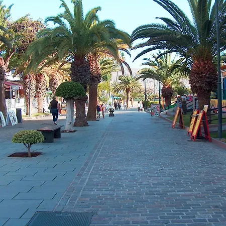 Happy Moments In Cristianos * Los Cristianos (Tenerife)